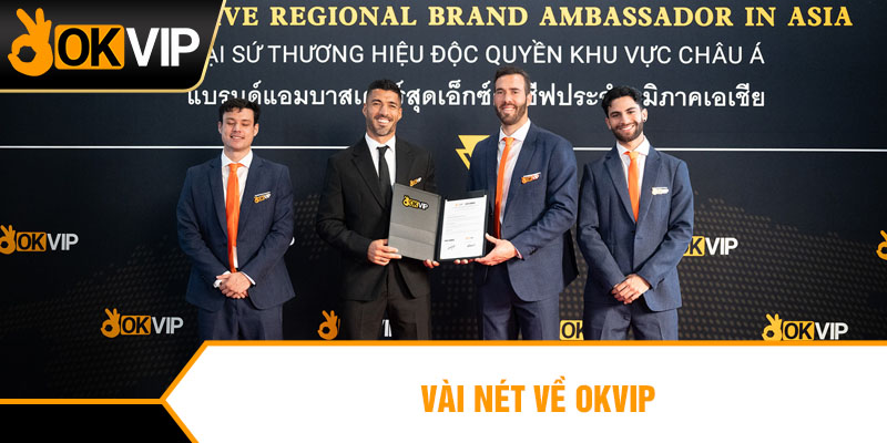 Vài nét về OKVIP