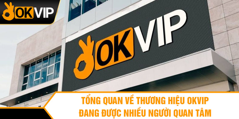 Tổng quan về thương hiệu OKVIP đang được nhiều người quan tâm